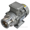 AC 220V Magnetic Drive Micro Gear Pump